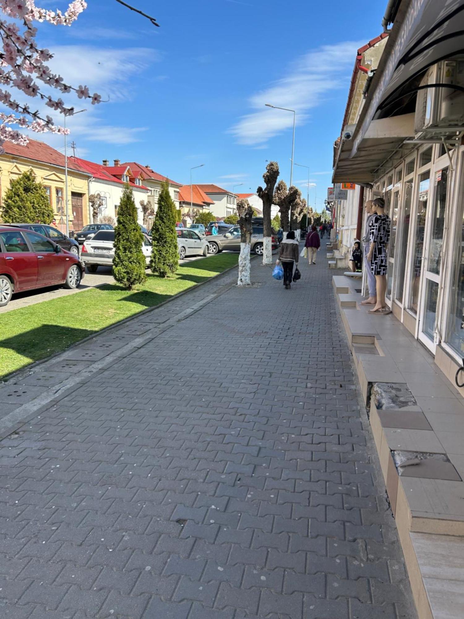 Bivolul Negru Apartment Blaj Exterior foto