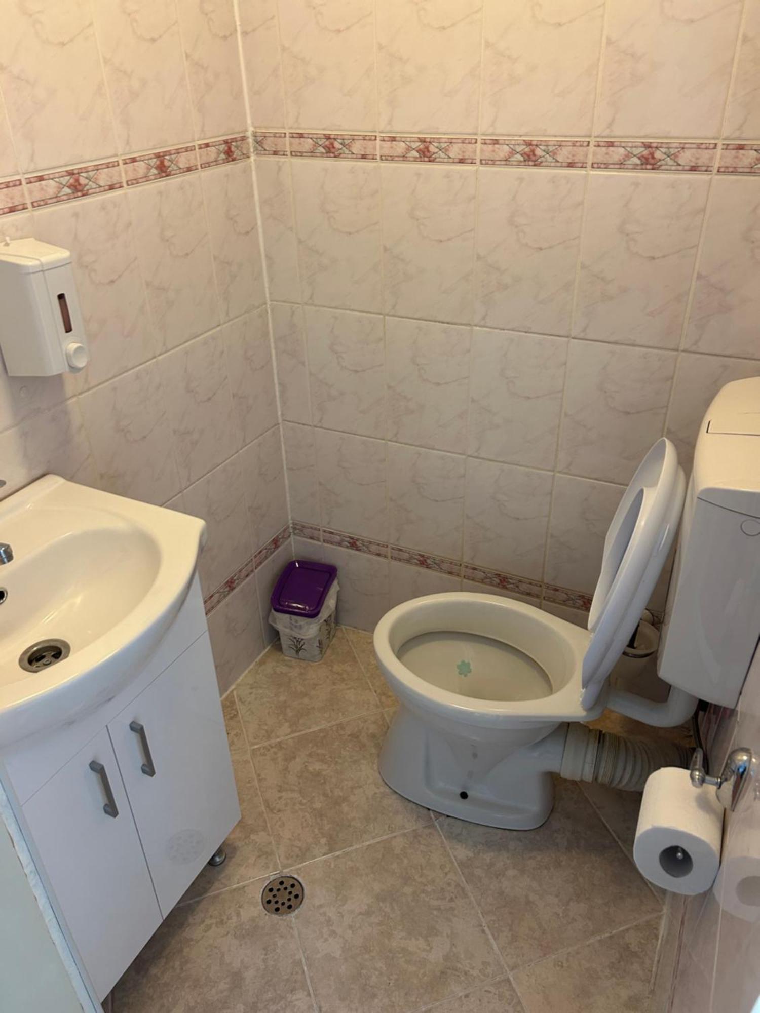 Bivolul Negru Apartment Blaj Exterior foto